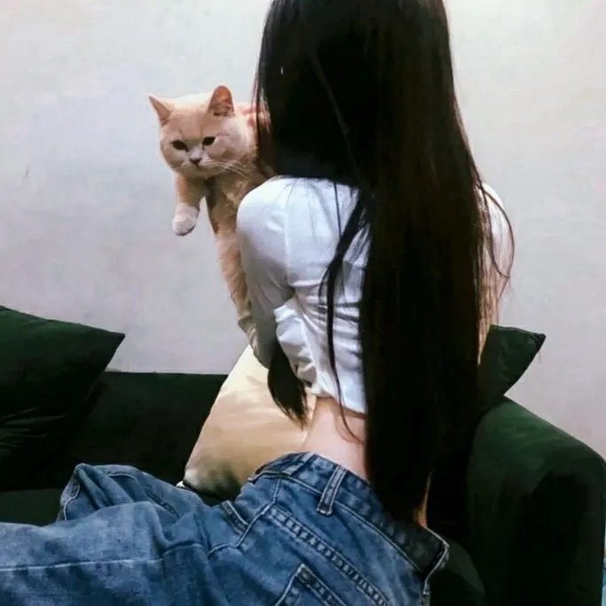 宝瓶奇谋